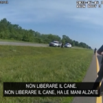 Usa, cane poliziotto ferisce uomo: licenziato agente che lo teneva al guinzaglio