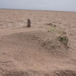 Migranti, corpi sepolti sotto la sabbia: le spiagge del Senegal come cimiteri