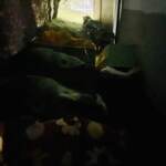 Migranti, in Val Susa soccorse 180 persone in una notte