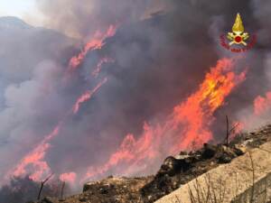 Incendi nella zona di Palermo