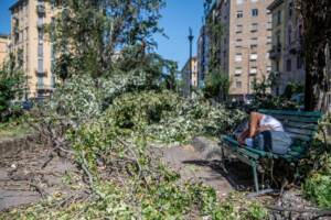 Maltempo a Milano, il giorno dopo forte la tempesta che ha causato ingenti danni