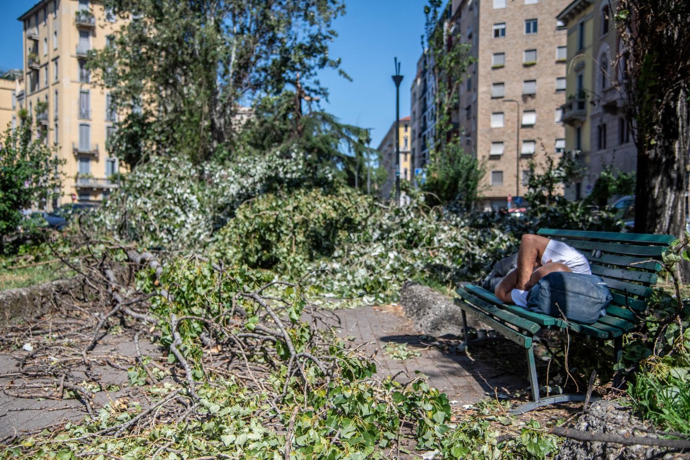 Milano, rischio caduta alberi: parchi chiusi fino al 31 agosto Milano, rischio caduta alberi: parchi chiusi fino al 31 agosto