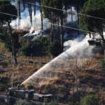 Palermo, ordinanza anti-diossina: stop a carne e uova