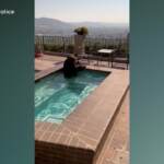 Usa, orso se la gode in una vasca jacuzzi in California