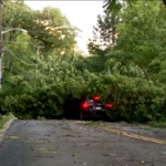 Usa, tempesta su Washington: gravi danni in città