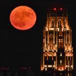 La superluna nel mondo