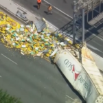 New Jersey, tir si ribalta: autostrada invasa dai limoni