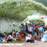 Sud Corea, caldo torrido a raduno mondiale scout