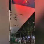 Cina, uccelli in volo incontrollato dopo il terremoto a Dezhou