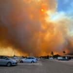 Incendi in Sardegna, case evacuate nel nord-est dell’isola