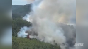 Incendi Spagna e Portogallo, migliaia di ettari in fiamme
