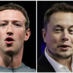 Sfida di arti marziali Zuckerberg-Musk, il ceo di Meta: “Non in diretta su X”