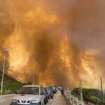 Incendi Sardegna, 600 le persone evacuate: roghi dolosi