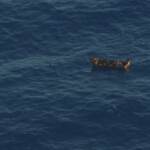 Migranti, naufragio al largo di Lampedusa: 41 morti