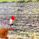 Calabria, bimbo appicca incendio: sorpreso da un drone