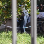 Milano, accoltella a morte la madre e si getta dal quarto piano