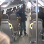 Lecco, rapina su treno a colpi di machete: due arresti