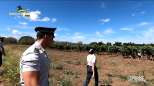 Lecce, scoperti oltre 900 falsi braccianti agricoli