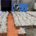 Olanda, sequestro record di cocaina a Rotterdam: carico di 8 tonnellate