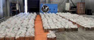 Olanda, sequestro record di cocaina a Rotterdam: carico di 8 tonnellate
