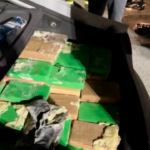 Livorno, 50 kg di cocaina in un container