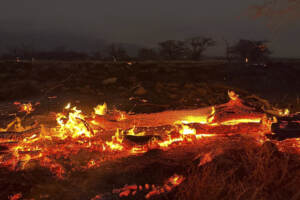 Incendi Hawaii: sale a 93 il bilancio delle vittime