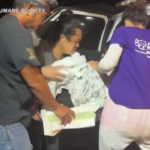 Hawaii, la Maui Humane Society si prende cura di animali feriti e ustionati