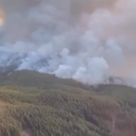 Canarie, incendio a Tenerife: evacuati i residenti