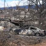 Incendi alle Hawaii, bilancio delle vittime sale a 110