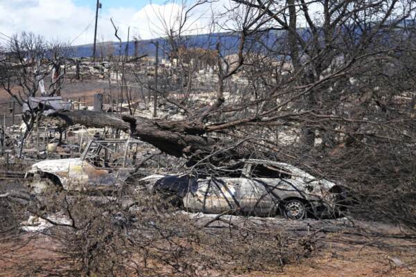 Incendi alle Hawaii, bilancio delle vittime sale a 110