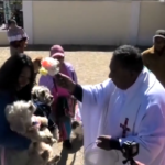 Bolivia, i parrocchiani portano i loro cani in chiesa per la benedizione