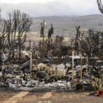 Incendi Hawaii, si dimette il capo dell’agenzia gestione emergenze