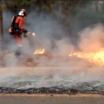 Spagna, incendio a Tenerife: bruciati oltre 3mila ettari