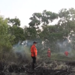 Indonesia, i vigili del fuoco hanno spento gli incendi