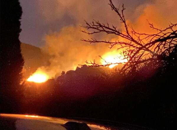 Incendio all’isola d’Elba, evacuate circa 700 persone