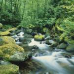 Sondrio, si tuffano in torrente per salvare cane: disperse 2 donne