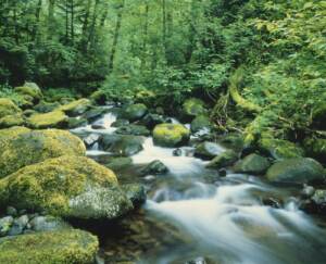 Stock - Fiume di montagna