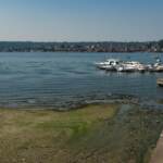 Lago Maggiore, allarme siccità