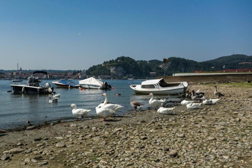 Galleria foto 'Lago Maggiore bassissimo tra siccità e problemi di regolazione dei livelli: le immagini' - foto 5