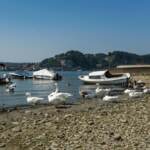 Lago Maggiore, allarme siccità