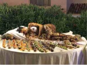 Sardegna, modella nuda ‘al cioccolato’ nel buffet: è bufera