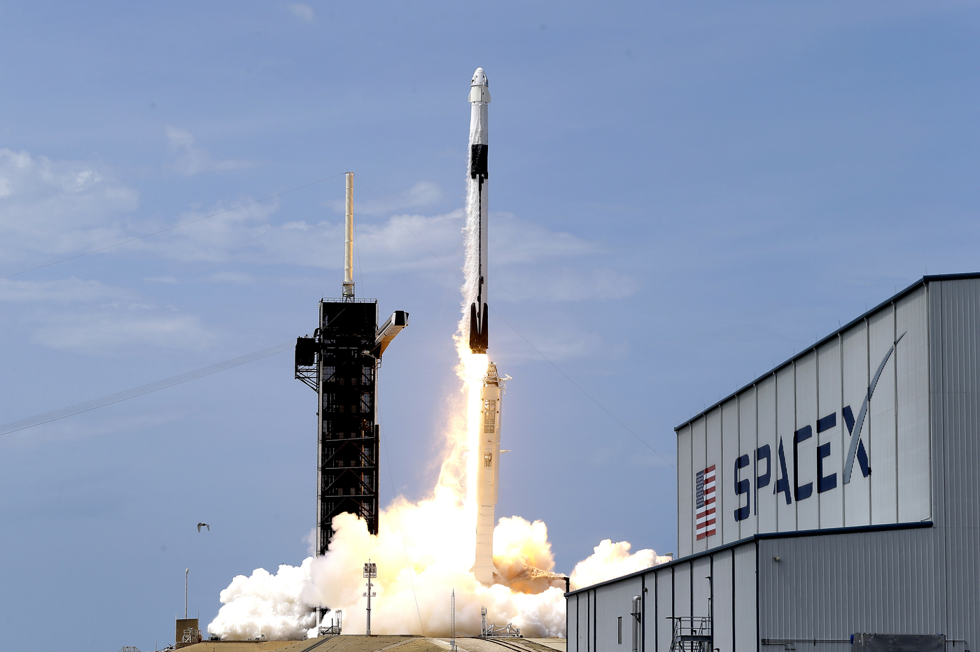 Usa, discriminazione nelle assuzioni: SpaceX citata in giudizio Usa, discriminazione nelle assuzioni: SpaceX citata in giudizio