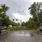 Maltempo, allerta rischio idrogeologico a Milano: monitorati i fiumi