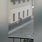 Maltempo Milano, le immagini della tempesta