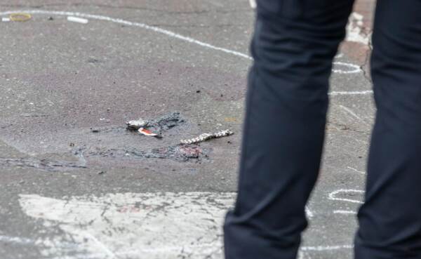 Incidente a Milano, ciclista investito e ucciso da un camion