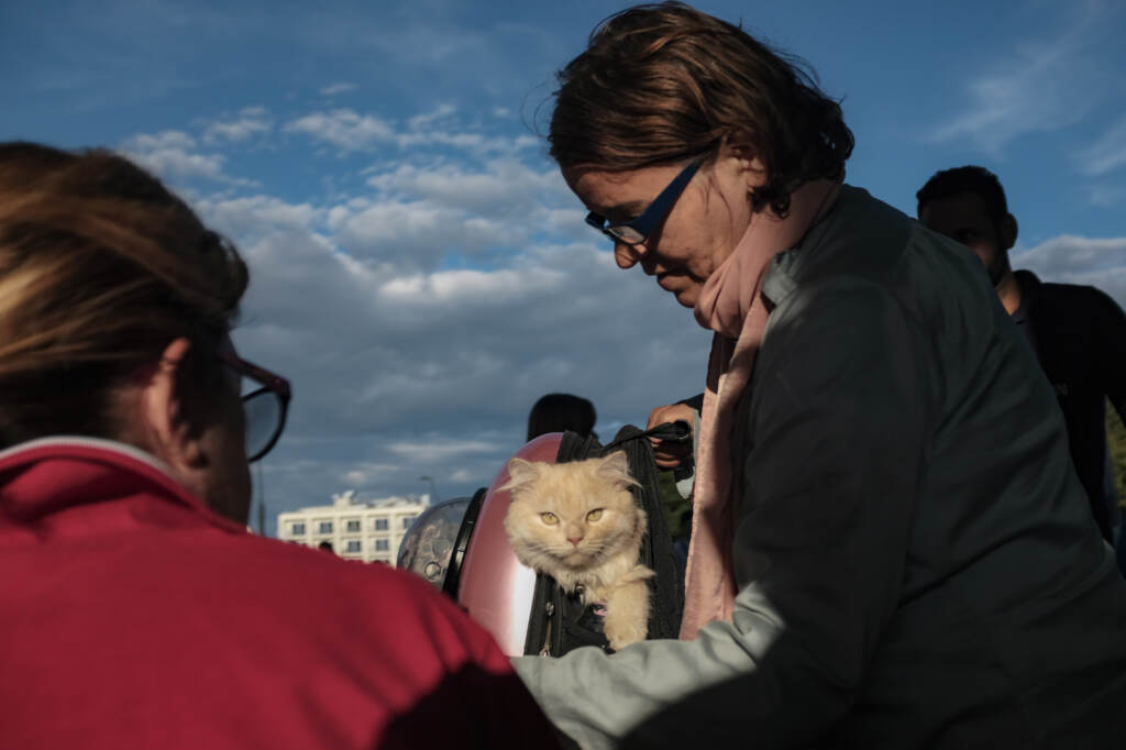 Galleria foto 'Migranti, Mofida e il suo gatto Mishou arrivati a Torino dalla Libia FOTOGALLERY' - foto 4