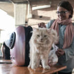 Migranti, Mofida e il suo gatto Mishou arrivati a Torino dalla Libia FOTOGALLERY