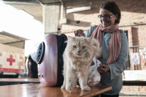 Migranti, Mofida e il suo gatto Mishou arrivati a Torino dalla Libia FOTOGALLERY