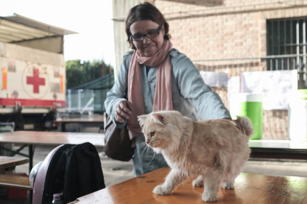 Galleria foto 'Migranti, Mofida e il suo gatto Mishou arrivati a Torino dalla Libia FOTOGALLERY' - foto 3