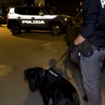 Verona, spaccio di cocaina allo stadio: misure cautelari per 12 ultras